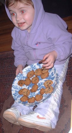 Joesefina sitting down to a nice meal of cookies