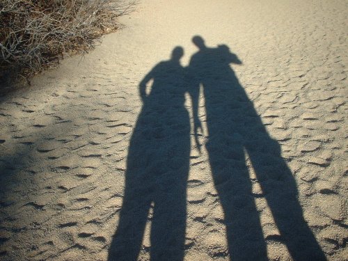 Shadows at Cottonwood Spring