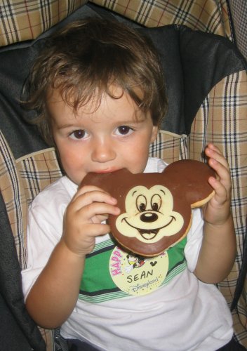 Mickey Cookie