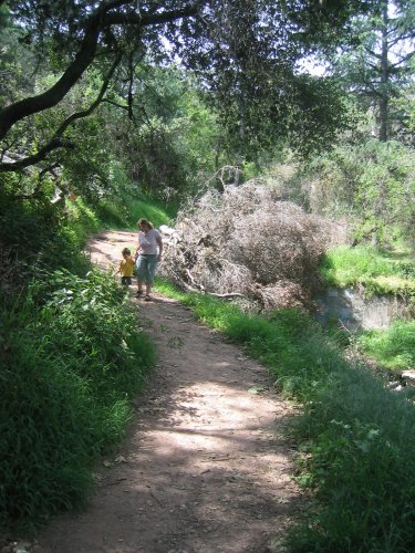 Walking in Griffith Park