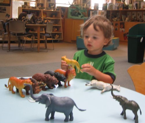 Sean playing with the animals