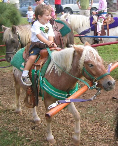 Old Hometown Fair Pony Ride