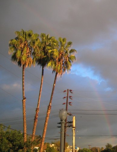 We saw a rainbow....