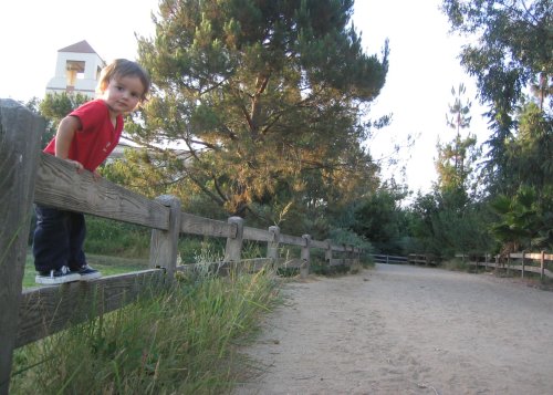 Sean on the fence