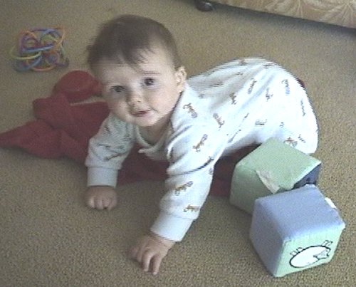 Sean getting ready to crawl