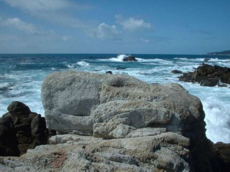 This rock in Carmel looks like a whale