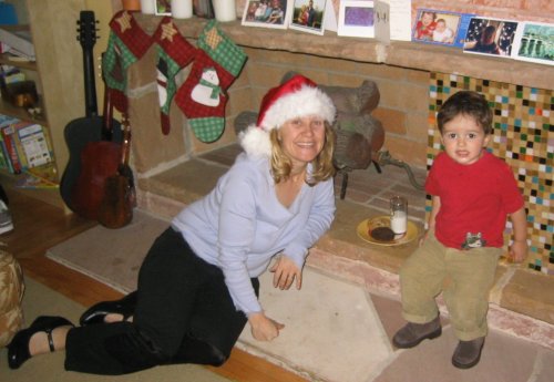 Cookies and milk for Santa